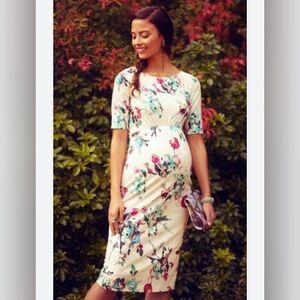 NWT Tiffany Rose Anna shift dress maternity Painterly floral women 2 6 8 m new